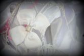 arco branco strass